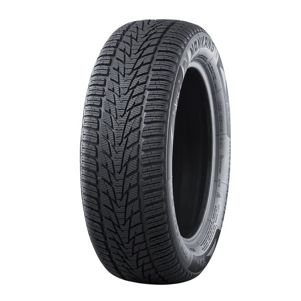 225/45 R19 96V Nankang Winter Activa 4