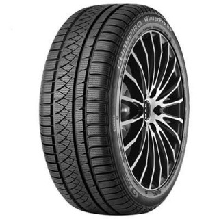 255/50 R19 107 V Gt Radial Champiro Winterpro Hp