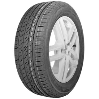 195/65 R15 91 T Points 
