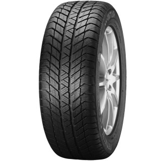 205/55 R17 95 V Platin Rp70 Winter Bsw - Pneumatico Invervale
