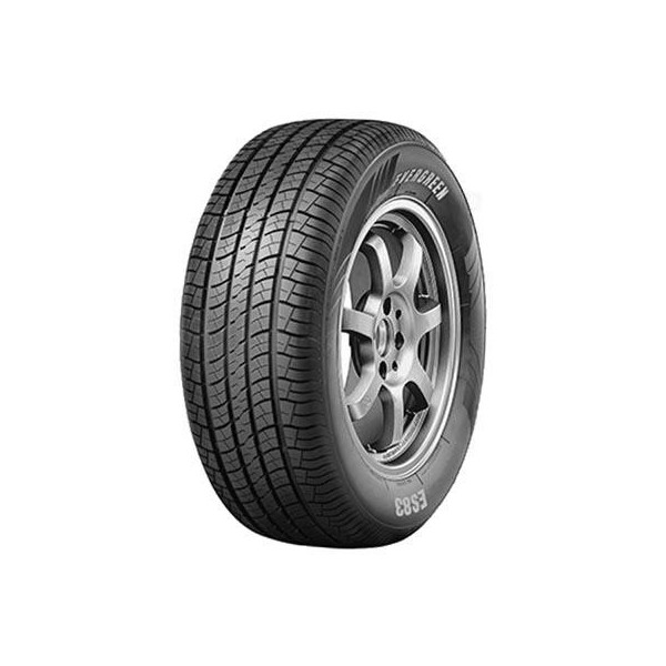 235/55 R18 100 V Evergreen Es83