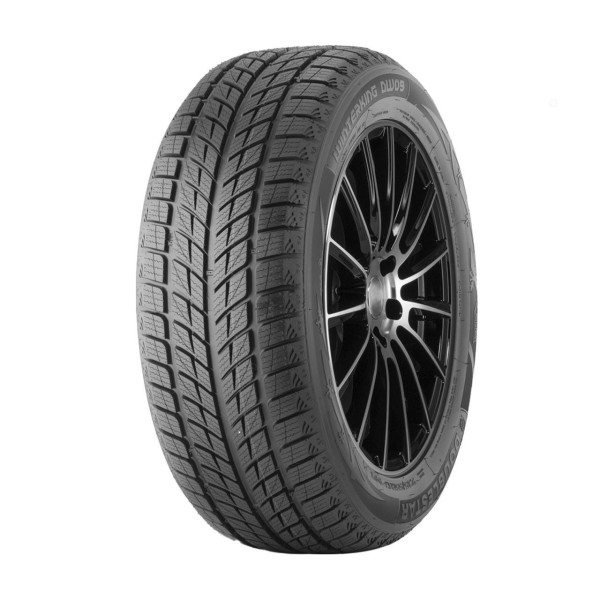 245/40 R18 93 H Double Star  Winterking Dw09