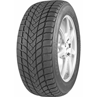 225/40 R18 92 H Mastersteel Winter +