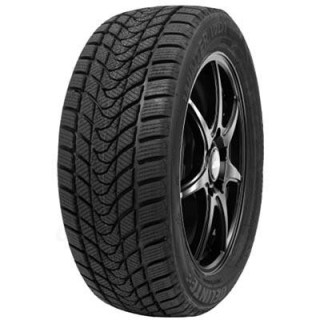 195/65 R15 91 H Delinte Wd1 - Pneumatico Invervale
